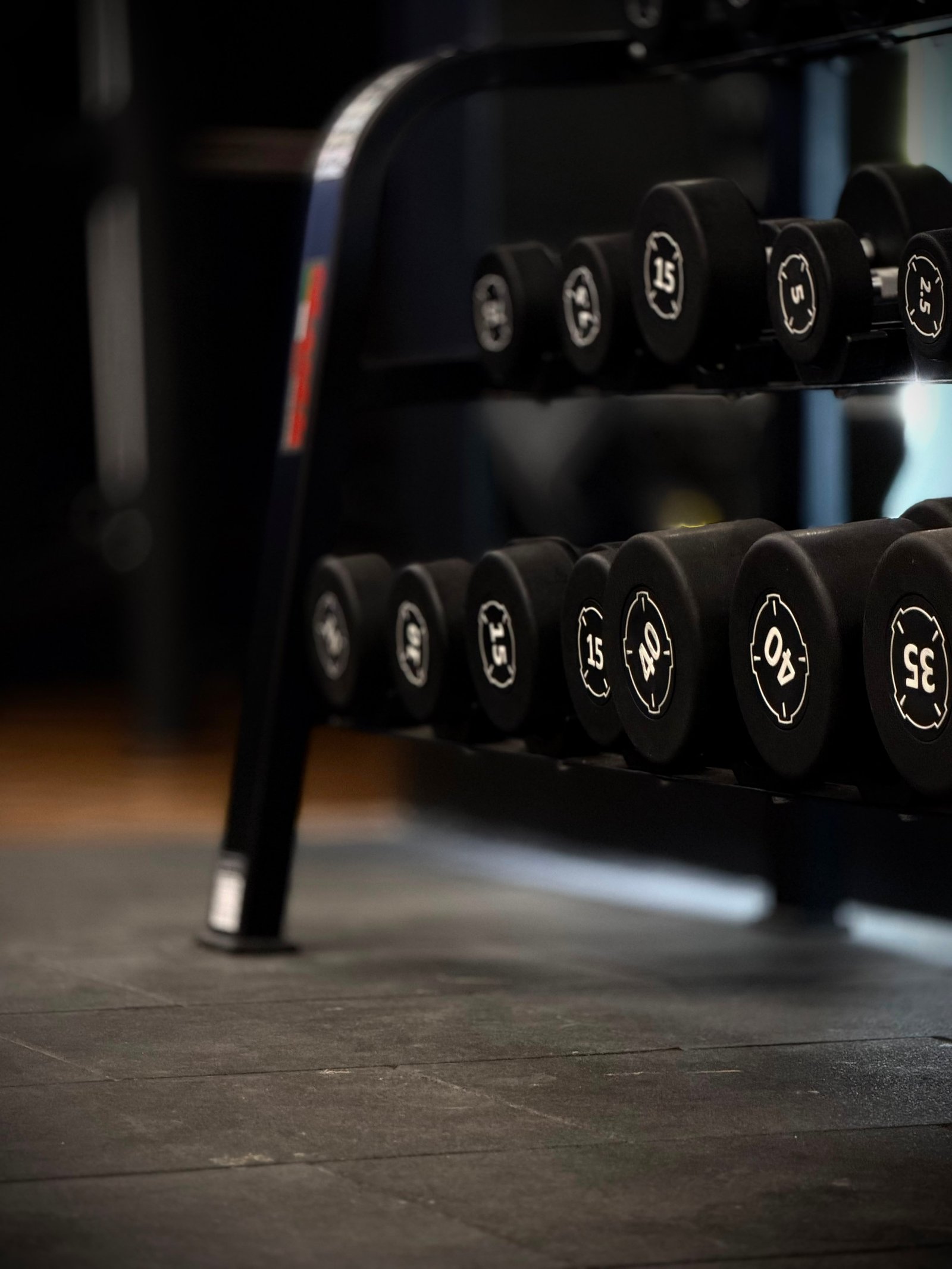 Rush Fitness Commercial Urethane Dumbbells on Rubber Flooring